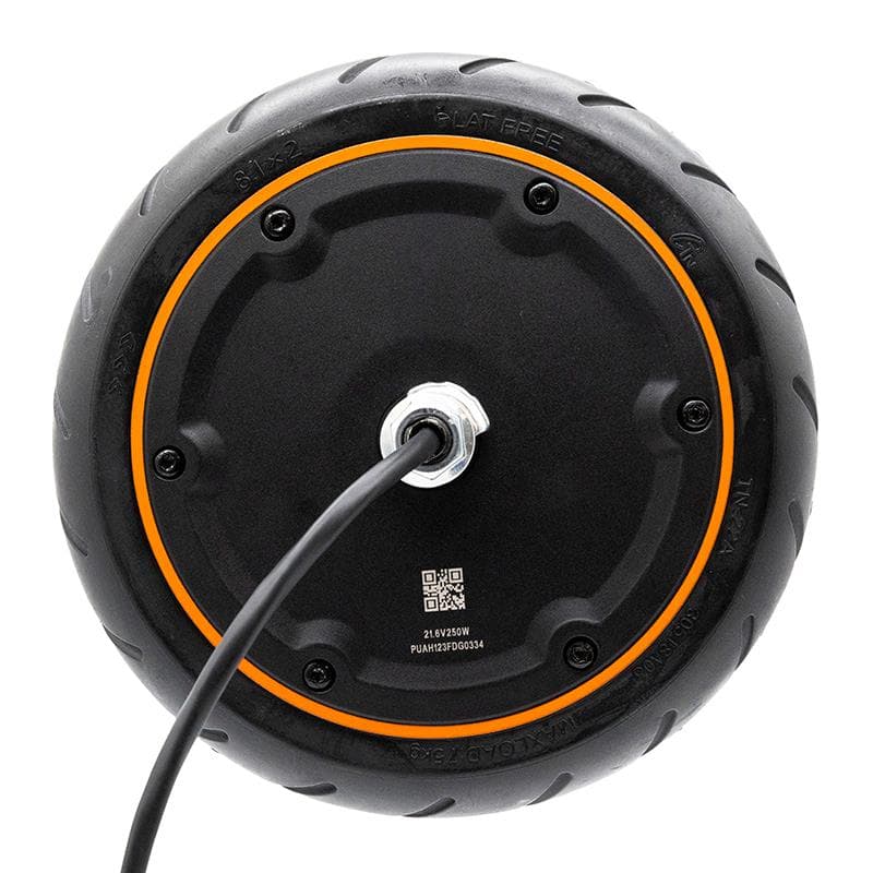Motor 21,6V 250W Xiaomi Mi 4GO Original