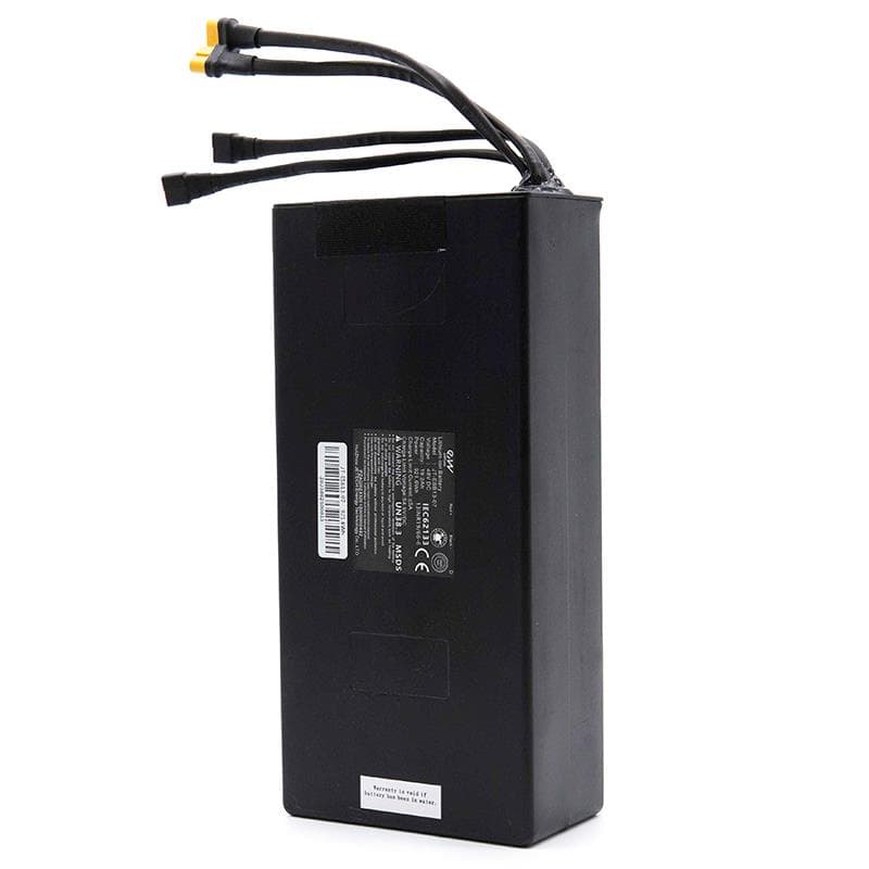Akku 48V 19,2 A/h für Smartgyro Speedway [Ewheel]