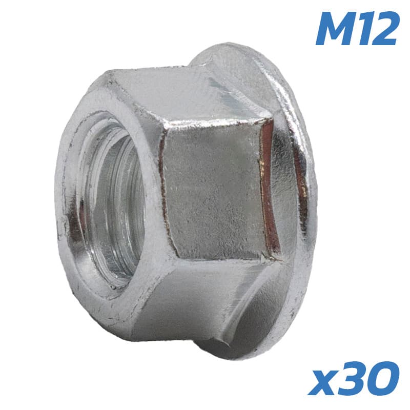 TUERCAS EJE MOTOR DUALTRON M12 - 30 UNDS