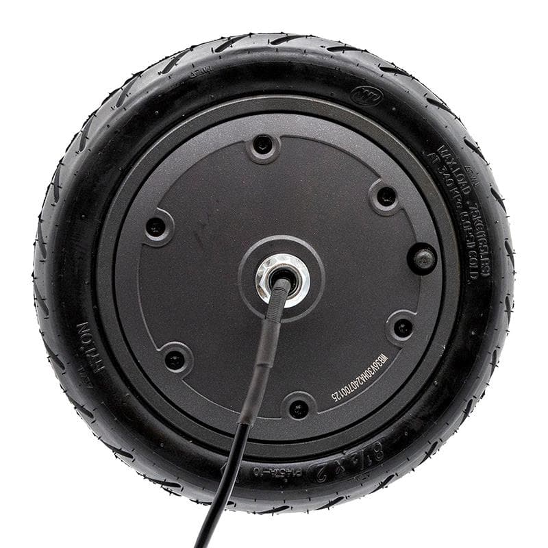 Motor 36V 300W 6,1/B34 für cecotec
