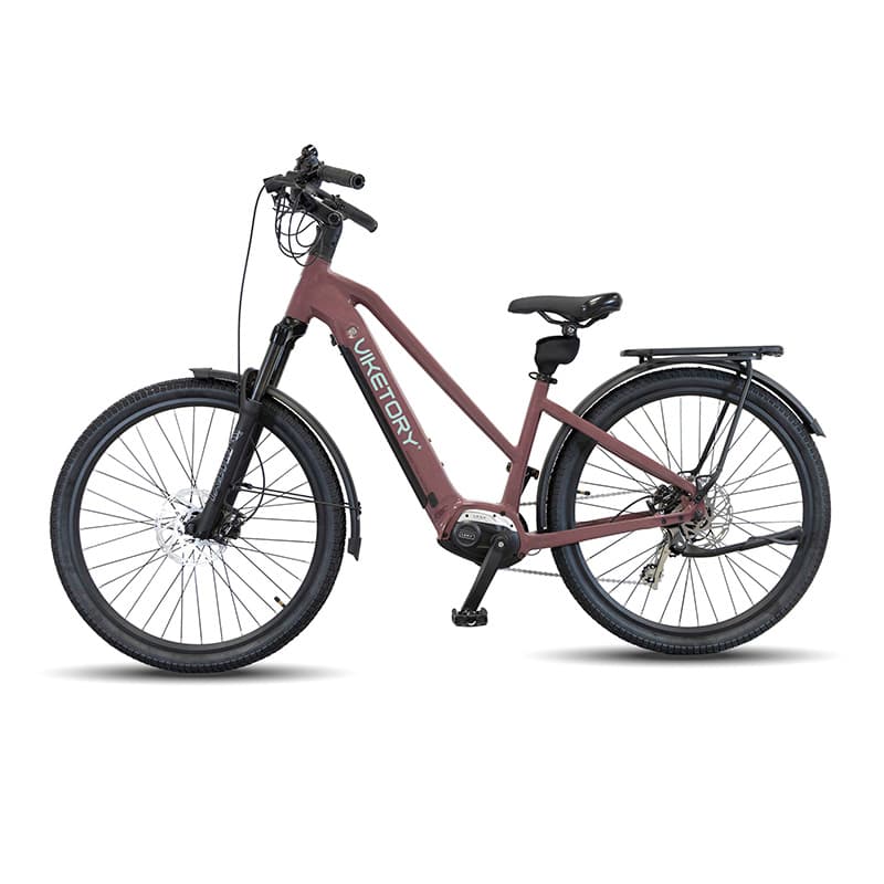 ARENOX E-Bike URBAN Kupfer
