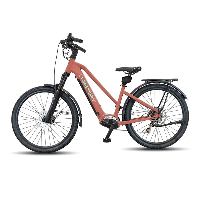 ARENOX +Plus E-Bike URBAN Kupfer