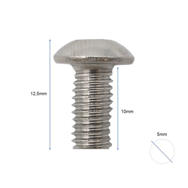 Silberne Schraube M5x10 für Bremsscheiben - 50 Stück