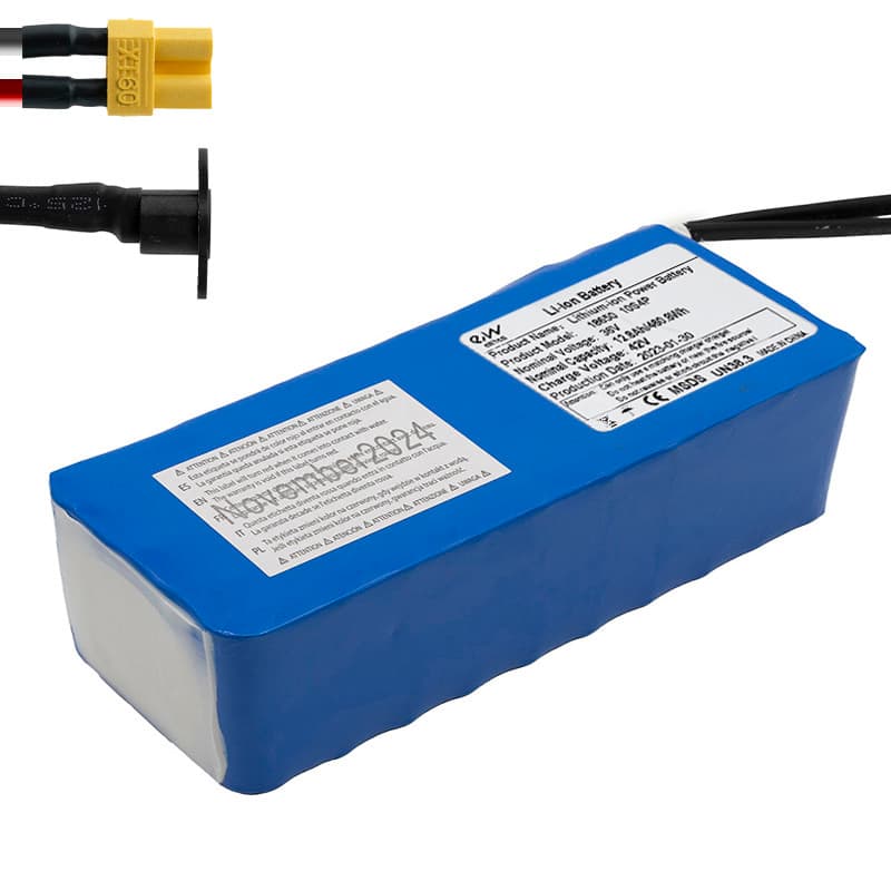 Externer Akku 36V 12,8 Ah [Ewheel]