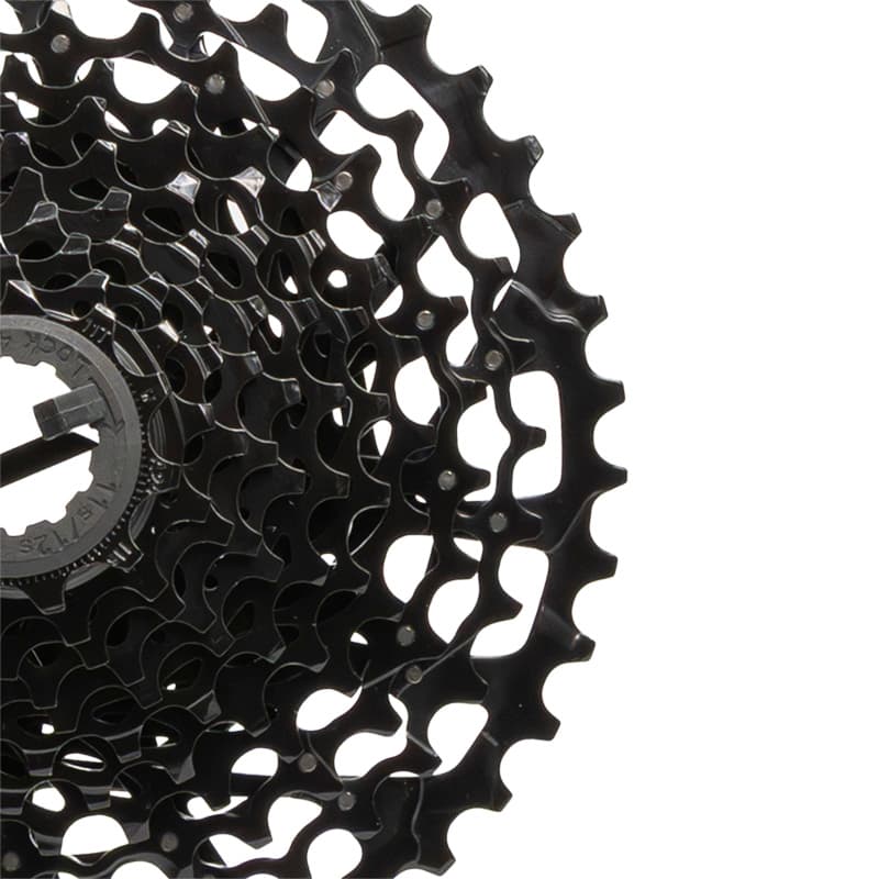Sram Kassette /CS PG 1130 11-42/11S TERRAM