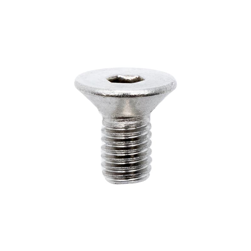 Dualtron Scharnierschrauben Edelstahl 10 Stk