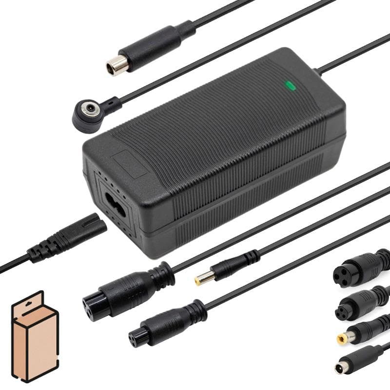 36V Ladegerät (Ausgang 42V) 2A mit X16/DC 8/GX12/MI4 Pro (1st Gen)/DC Cecotec Anschlüssen